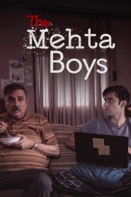 The Mehta Boys Telugu